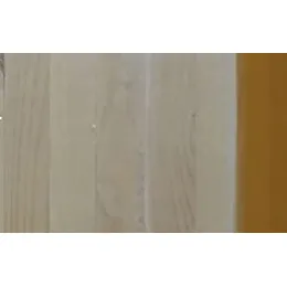 Sustainable Building Material