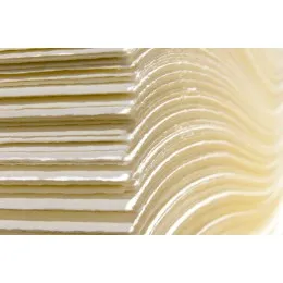 Kraft Pulp