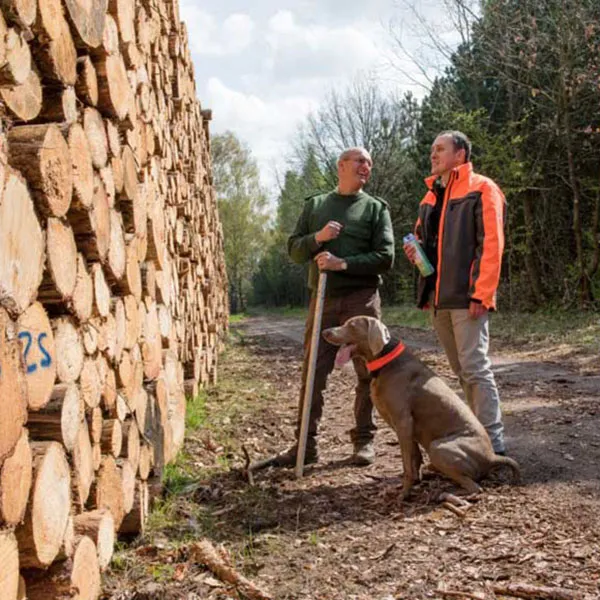 WOOD AND TRANSPORT SERVICE