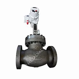 Control Valves