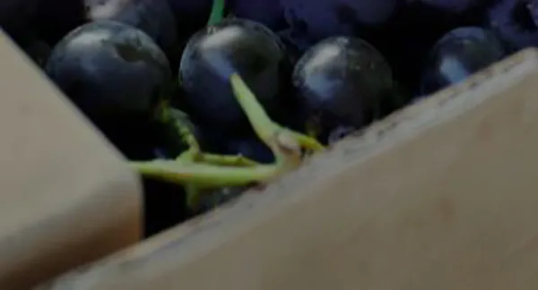 Perishables