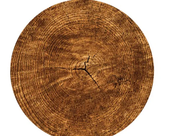 SAWMILL PRODUCTS