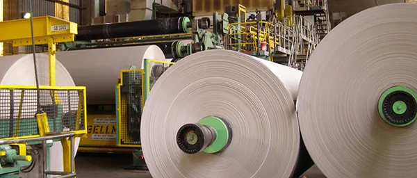 PAPER MANUFACTURING