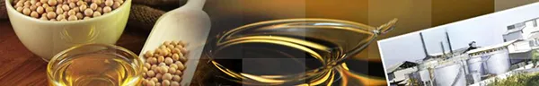 Solvent
