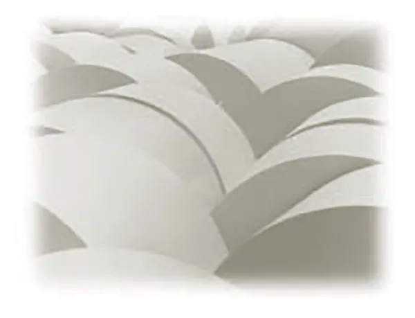 Thermal Paper Products