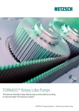 TORNADO Rotary Lobe Pump