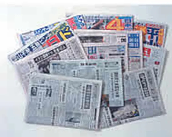 Newspaper