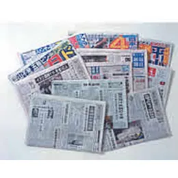 Newspaper