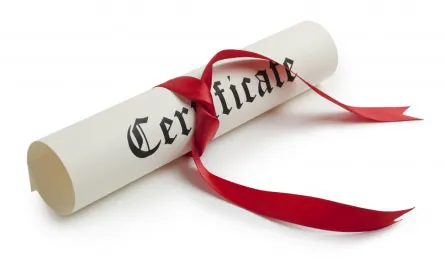 Speciality Paper