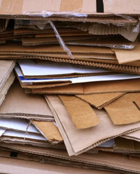 Cardboard
