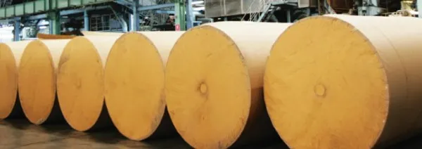 Carbonless Paper