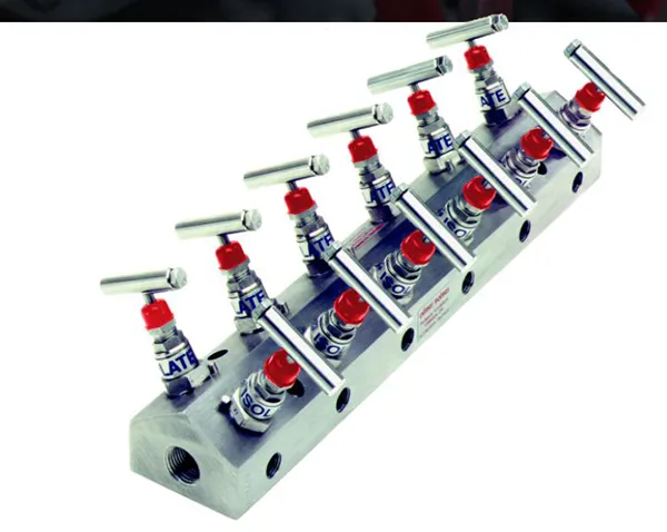 High-Pressure Distribution Manifold (DM)