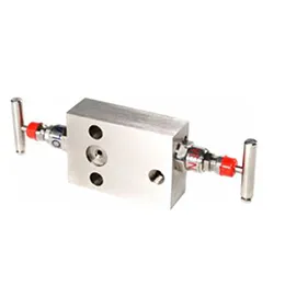 Manifolds