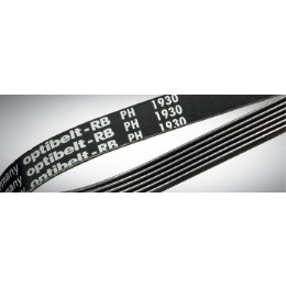 Performance Ribbed Belts