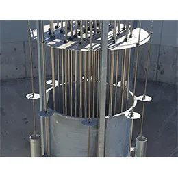 DigestivorePAD™ Process