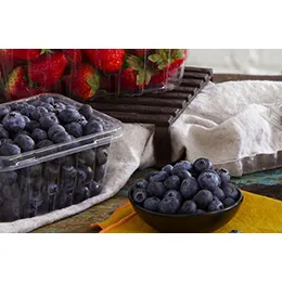 Agriculture Packaging