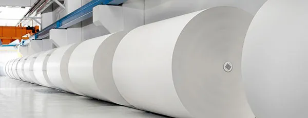 Palm Newsprint Paper