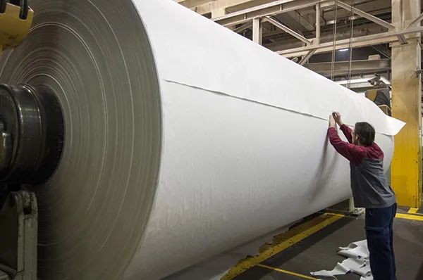 PULP  INTO PAPER