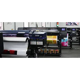 Roll-to-Roll Printers