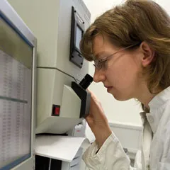 Testing & Analytics