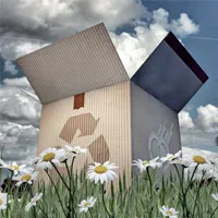 Focussing on Corrugated Board