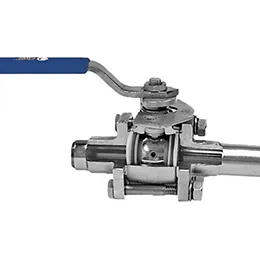 clean steam true bore valves