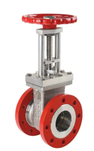 V501 Gate Valve