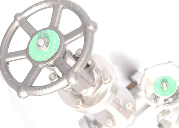 Globe and check  valves