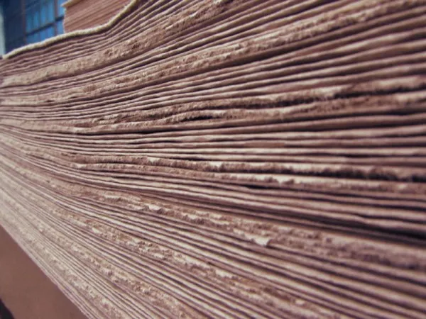 Kraft Linerboard and Corrugating Medium