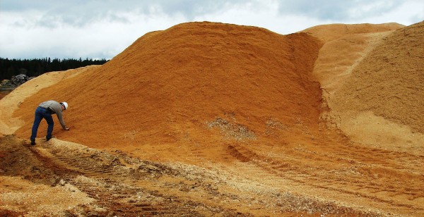 Pulp and Paper for Mills and Converters