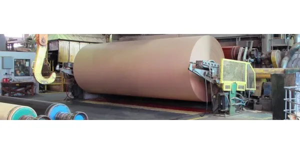 Unbleached Kraft Pulp