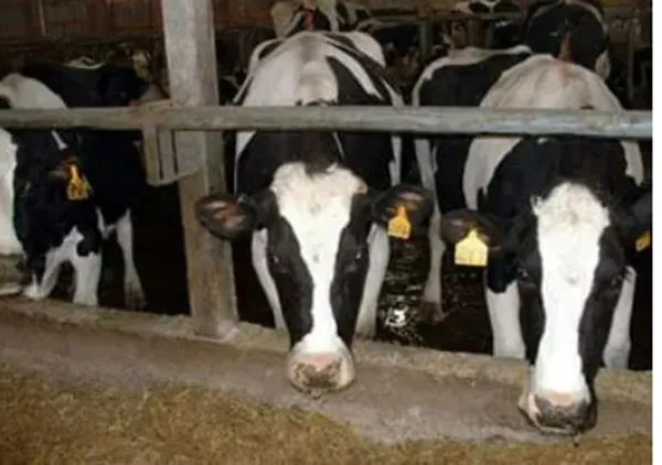 AGRI-CLEAN