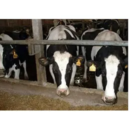AGRI-CLEAN