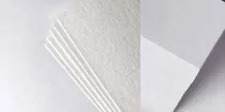 Bleached Eucalyptus Kraft Pulp