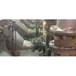 FOOD PROCESSING
