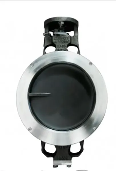 Discovanne Gachot® High Performance Butterfly Valve