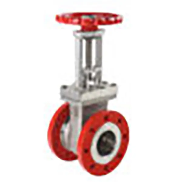 V501 Gate Valve
