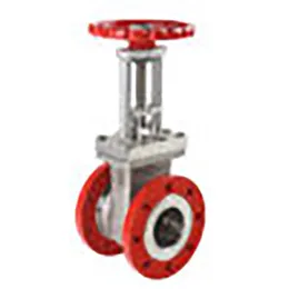 V501 Gate Valve