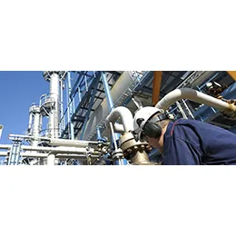 Q170 TUBULAR VALVES