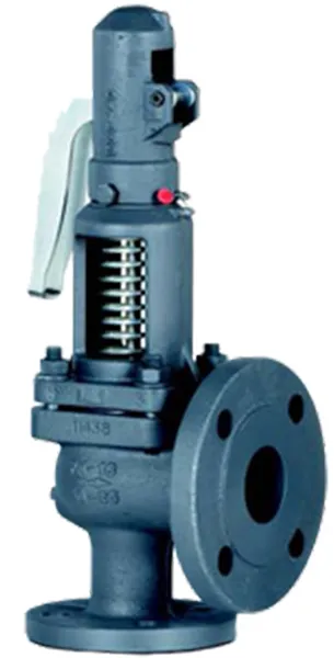 STEAM PRESSURE RELIEF VALVES