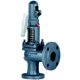 VYC SERIES 486 SAFETY VALVE