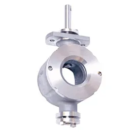 Titanium valves 5-Ram