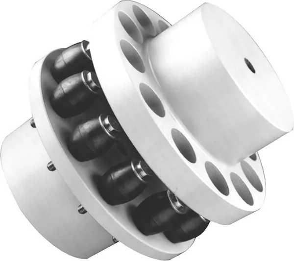 Pin & Bush Couplings B-FLEX RB