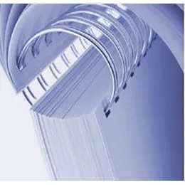 RENZ RING WIRE