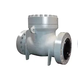 CHECK VALVES