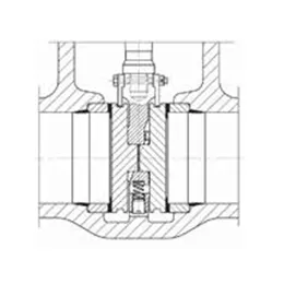 Parallel Gate Valves