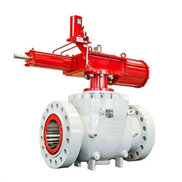 TRUNNION MOUNTED TOP ENTRY BALL VALVE