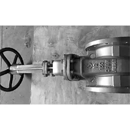 API Valves