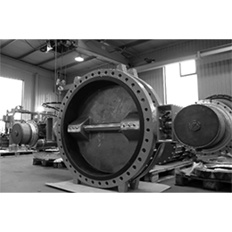 Butterfly Valves for Water Application