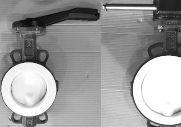 PTFE Butterfly Valves